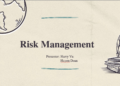 RISK MANAGEMENT in IT PROJECTS
